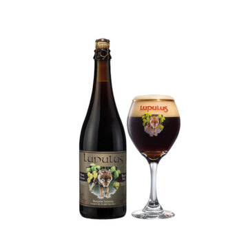 Lupulus-brune-75-ambiance